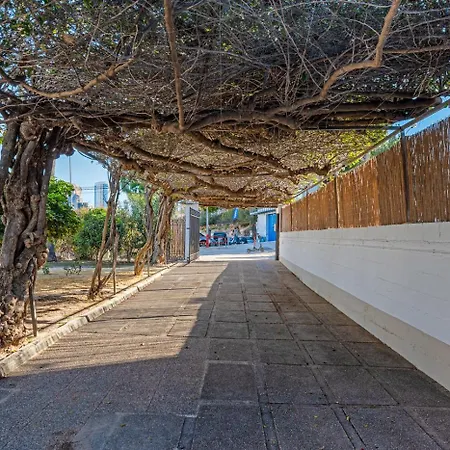 Villa Tropical - Plusholidays