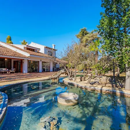 Tropical - Plusholidays *