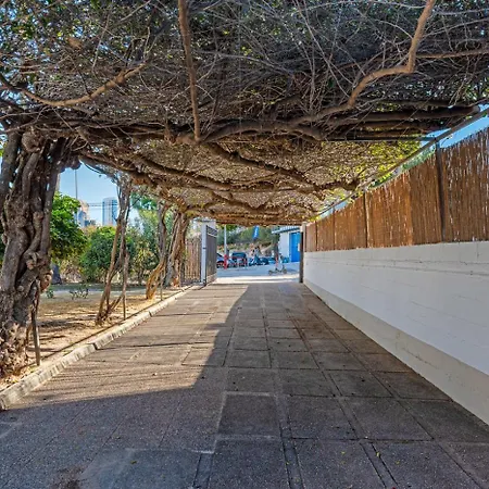 ヴィラ Tropical - Plusholidays